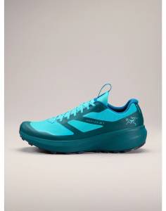 Кросівки ARC'TERYX Norvan LD 3 GTX Shoe Blue Tetra/Pytheas