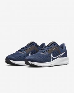 Кросівки бігові Nike Pegasus 40 DV3853-400