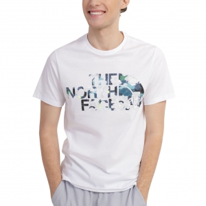 Футболка The North Face M STANDARD SS TEE NF0A4M7XIW91
