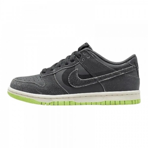 Кросівки Nike Dunk Low Halloween (2022) (GS) Iron Grey