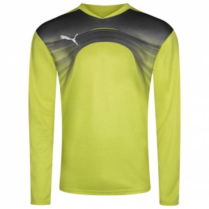 Кофта воротаря Puma Goalkeeper 700785-32