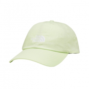 Бейсболка The North Face NORM HAT