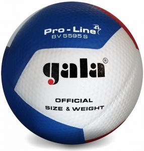 М'яч волейбольний Gala Proine 12 FIVB BV5595S