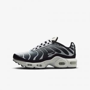 Кросівки Nike TN Air Max Plus GS Black Metallic Cool Grey