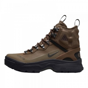 Кросівки Nike ACG Air Zoom Gaiadome Gore-Tex Trails End Brown