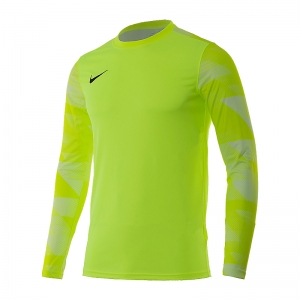 Кофта Nike Dry Park IV Goalkeeper Jersey Long Sleeve