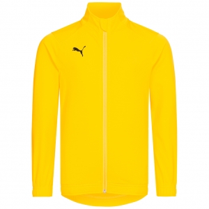 Джемпер PUMA LIGA Sideline 655947-07