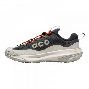 Кросівки Nike Acg Mountain Fly 2 Low Gore-Tex Grey HF6245-002 40