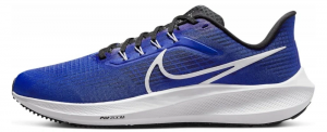 Кросівки Nike Pegasus 39 (сині)