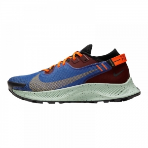 Кросівки Nike Pegasus Trail 2 Gore-Tex Mystic Dates Astronomy Blue (W)