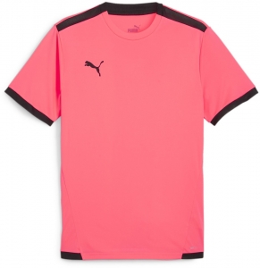 Футболка Puma Teamliga Jersey 704917-57