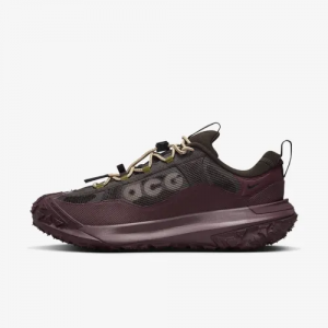 Кросівки Nike ACG Mountainfly Low 2 Gore-tex "Velvet Brown/Burgundy Crush"