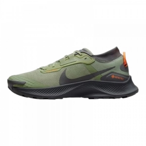 Кросівки Nike Pegasus Trail 3 Gore Tex Green Black