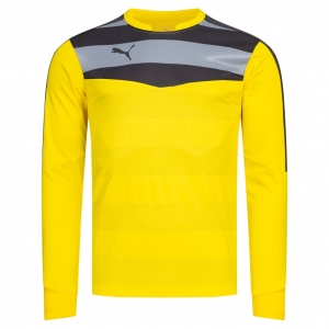 Кофта PUMA Stadium GK 702089-55