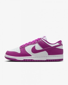 Кросівки жіночі Nike Dunk Low Next Nature (DD1873-110)