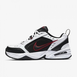 Кросівки Nike Air Monarch IV