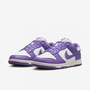Кросівки жіночі Nike Dunk Low Next Nature (DD1873-108)