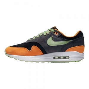 Кросівки Nike Air Max 1 PRM Duck Honey Dew