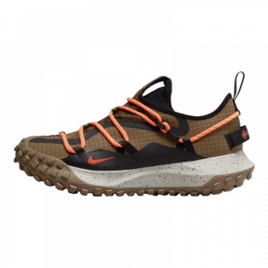 Кросівки Nike ACG MOUNTAIN FLY LOW GTX SE