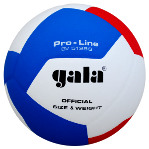 М'яч волейбольний Gala Proine BV5125S