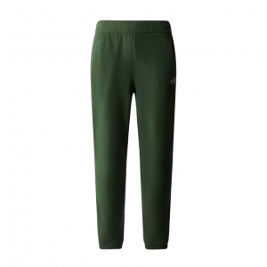 Штани The North Face GLACIER PANT