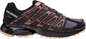 Кросівки SALOMON XT RECKON GORE-TEX