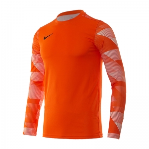 Кофта Nike Dry Park IV Goalkeeper Jersey Long Sleeve