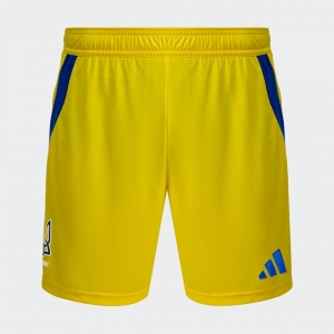 Шорти Ukraine 24 Adidas Performance IK2248