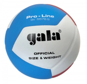 М'яч волейбольний Gala Pro-Line BV5576S