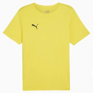 Футболка Puma teamRISE Matchday