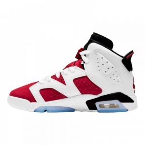 Кросівки AIR JORDAN 6 RETRO (GS)