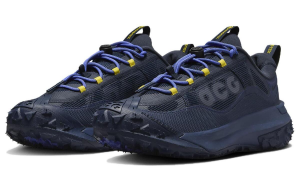 Кросівки Nike ACG MOUNTAIN FLY 2 LOW GTX