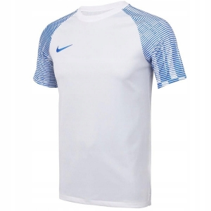 Футболка Nike Dri-FIT Academy DH8031-102