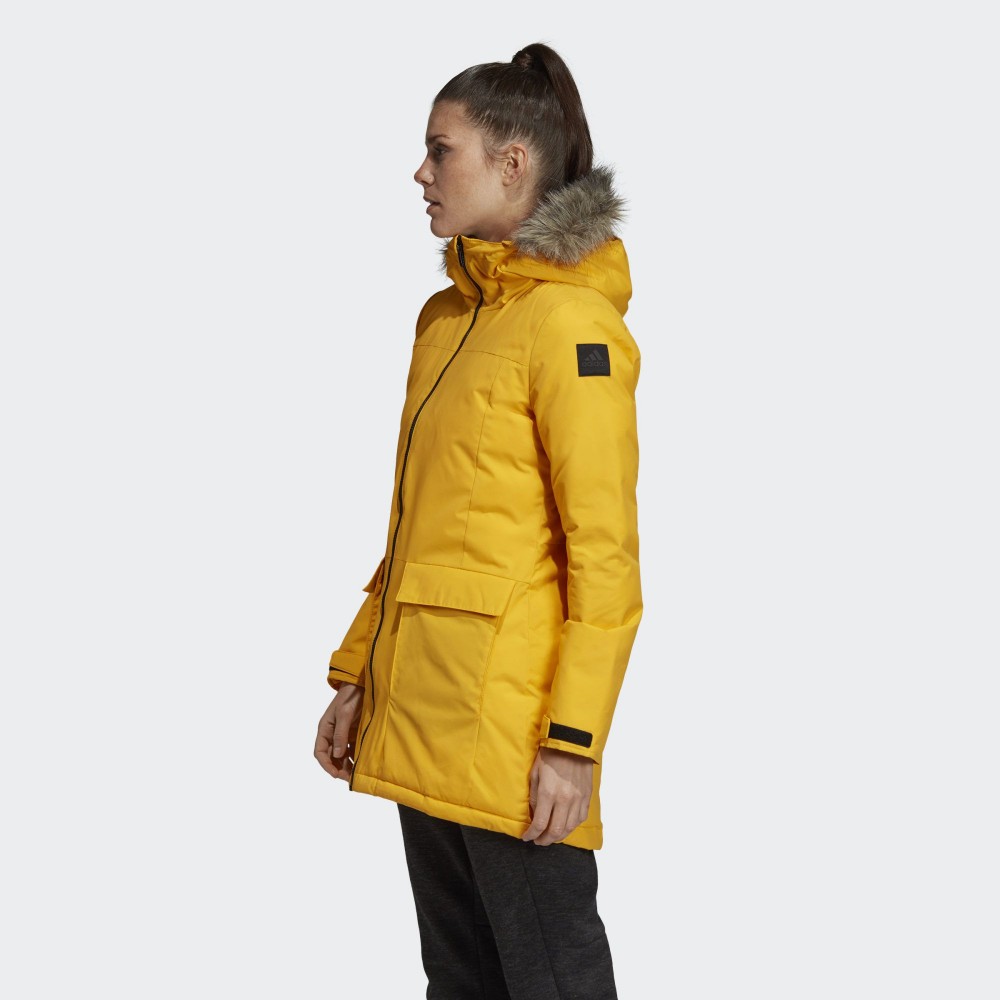 Парка Adidas W Xploric Parka DZ1497_image_3