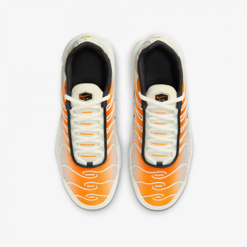 Кроссовки Nike Air Max Plus CD0609-800_image_6