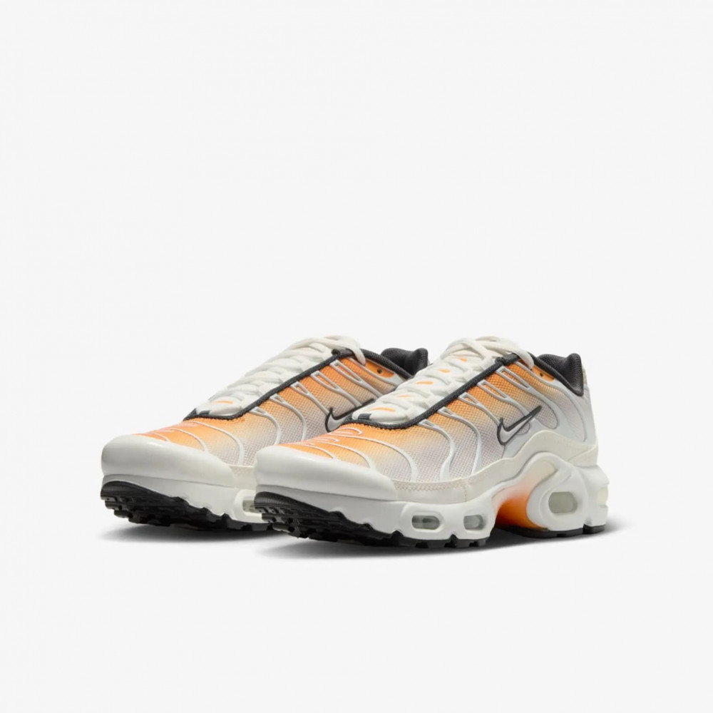 Кроссовки Nike Air Max Plus CD0609-800_image_5