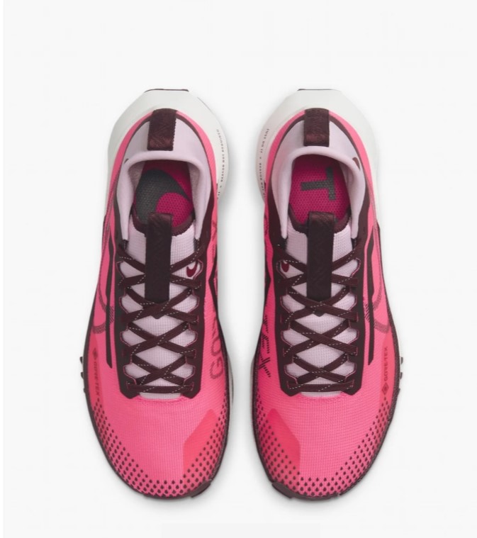 Кросівки жіночі Nike Pegasus Trail 4 Gore-Tex Waterproof Trail FN7769-600_image_7