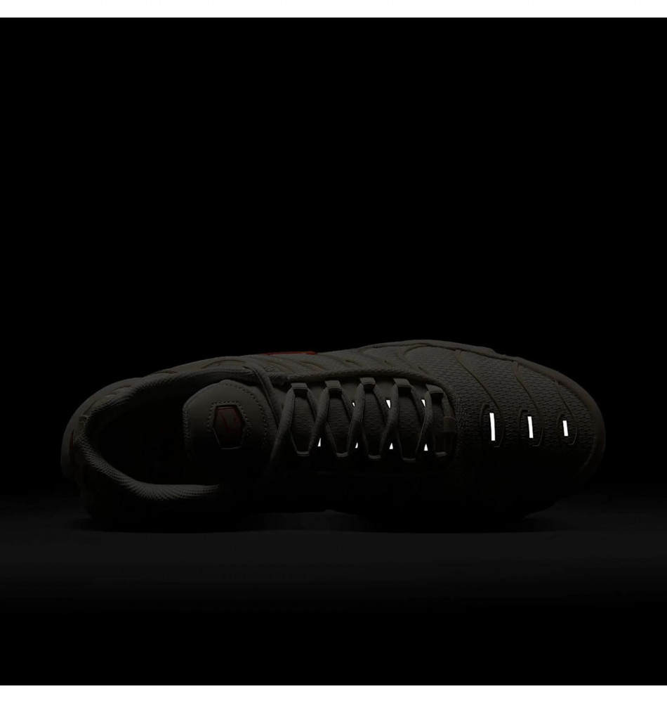 Кроссовки мужские Nike Air Max Plus DM0032-019_image_9