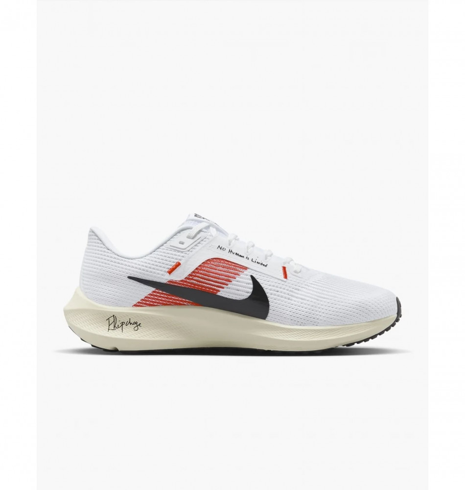 Кросівки Nike Pegasus 40 EK FJ0686-100