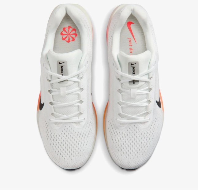 Кросівки Nike Air Winflo 11 FJ9509-111_image_4