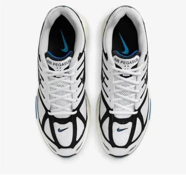 Мужские кроссовки Nike Air Pegasus 2005 IB3971-100_image_3
