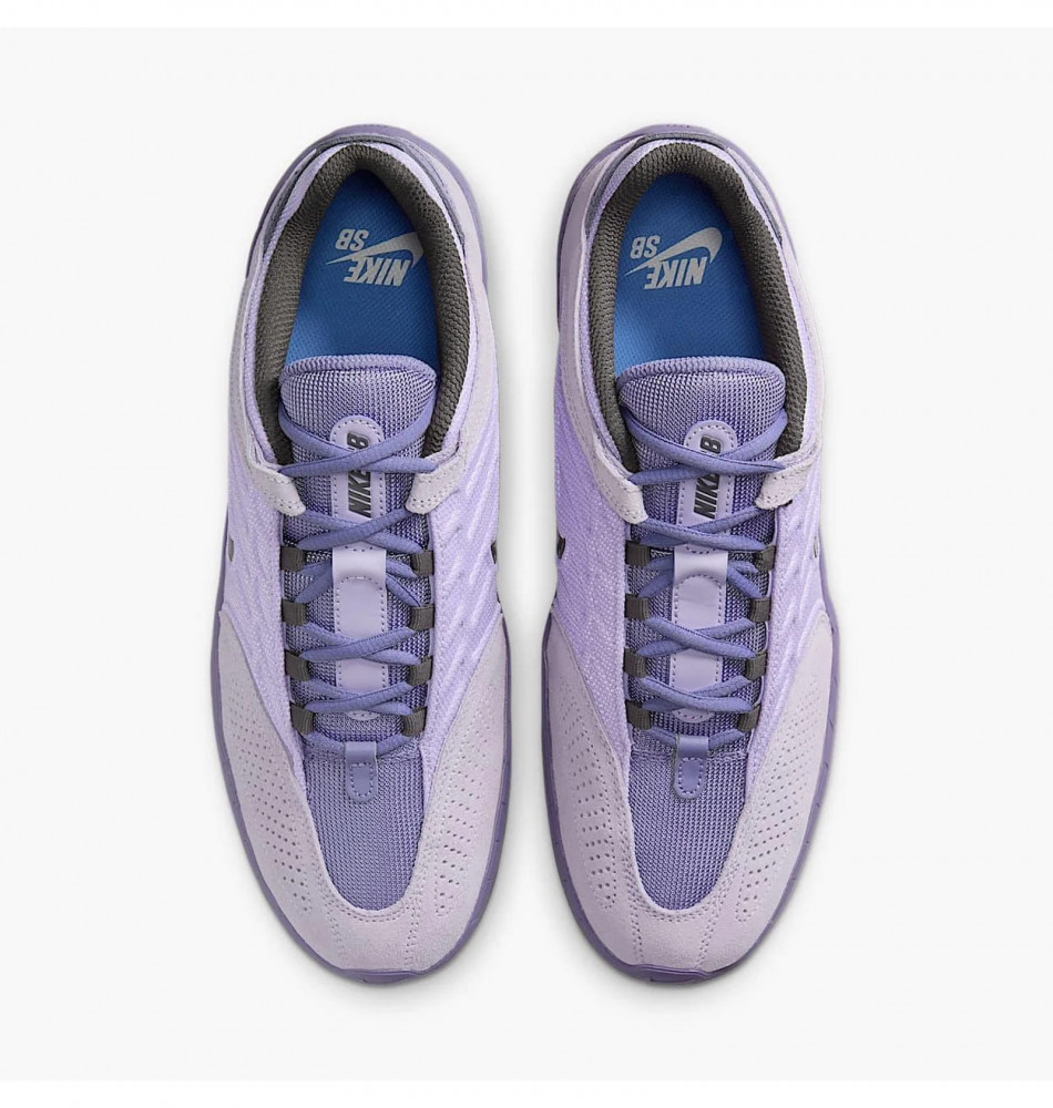 Кроссовки мужские Nike Sb Vertebrae FD4691-501_image_6