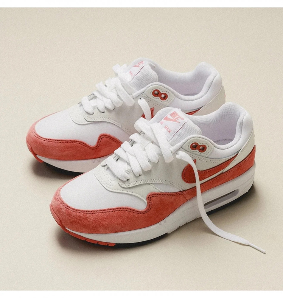 Кроссовки женские Nike Air Max 1 87 FZ1468-100_image_5