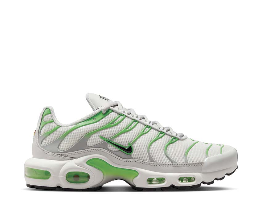Кросівки Nike Air Max Plus DZ3671-001