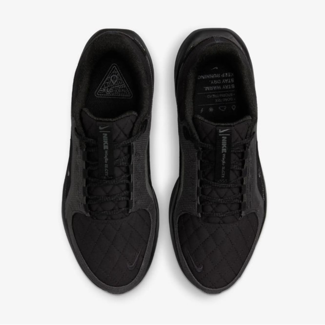 Жіночі кросівки Nike W Air Winflo 11 Gtx FQ1359-001