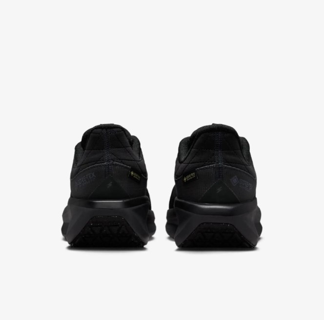 Жіночі кросівки Nike W Air Winflo 11 Gtx FQ1359-001_image_5