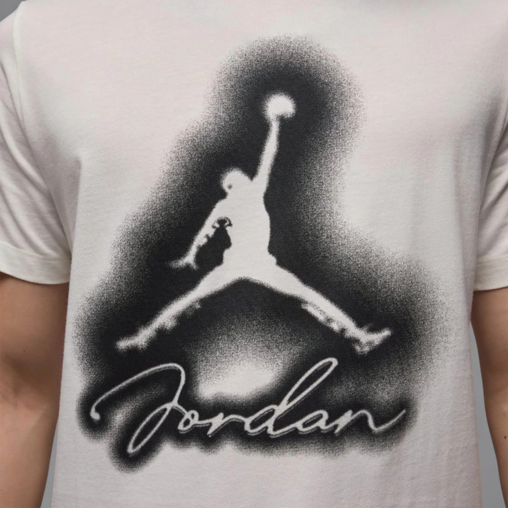 Мужская футболка Jordan M Flt Mvp Jm Hbr Ss Crew HJ2330-133_image_4