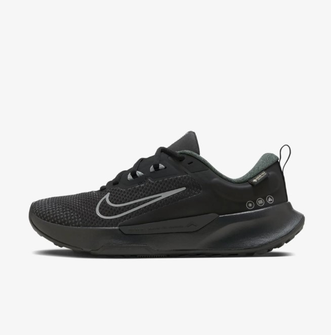 Женские кроссовки Nike Wmns Juniper Trail 2 Gtx HM9725-001_image_3