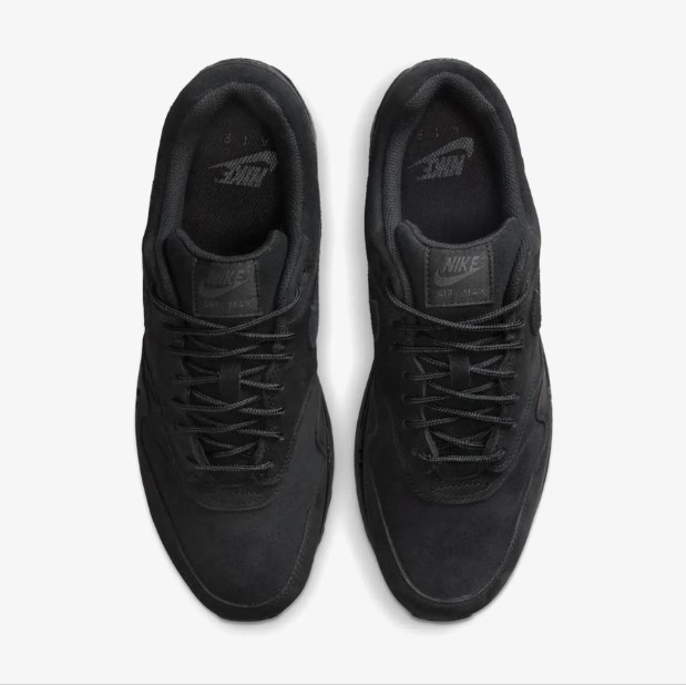Кроссовки мужские Nike Air Max 1 Prm HV8065-001_image_8
