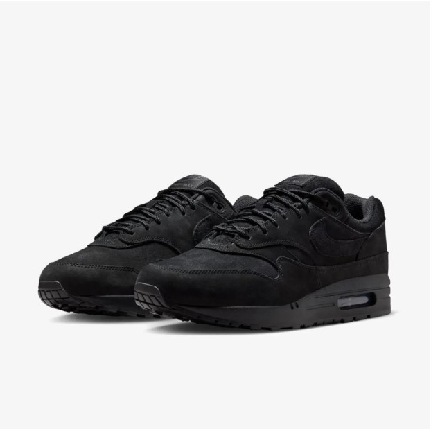 Кроссовки мужские Nike Air Max 1 Prm HV8065-001_image_5